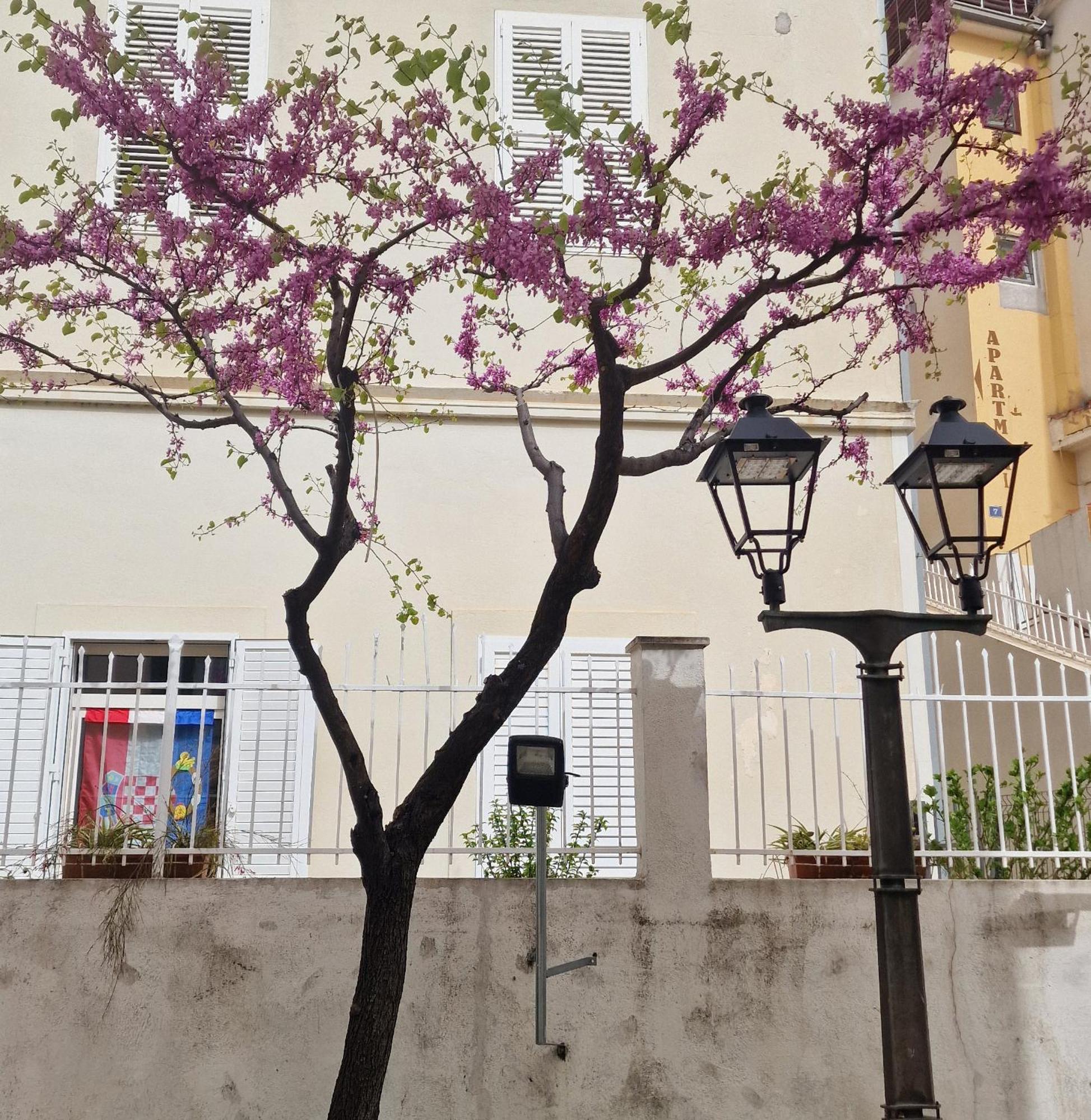 Old Town Apartment Omiš Extérieur photo